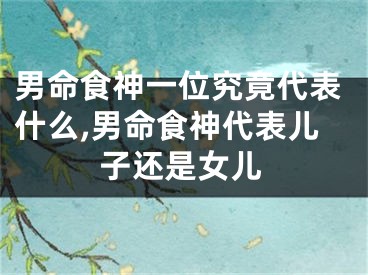 男命食神一位究竟代表什么,男命食神代表儿子还是女儿