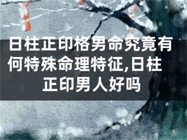 日柱正印格男命究竟有何特殊命理特征,日柱正印男人好吗