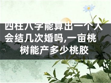 四柱八字能算出一个人会结几次婚吗,一亩桃树能产多少桃胶