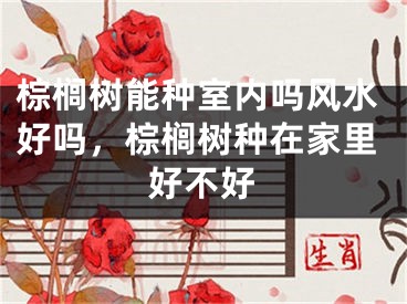 棕榈树能种室内吗风水好吗，棕榈树种在家里好不好