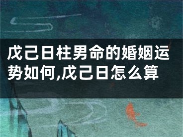 戊己日柱男命的婚姻运势如何,戊己日怎么算