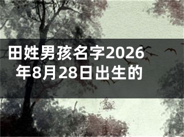 田姓男孩名字2026年8月28日出生的