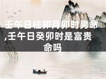 壬午日柱卯月卯时男命,壬午日癸卯时是富贵命吗