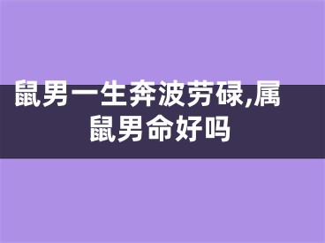 鼠男一生奔波劳碌,属鼠男命好吗