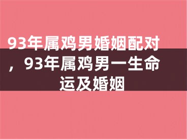 93年属鸡男婚姻配对，93年属鸡男一生命运及婚姻