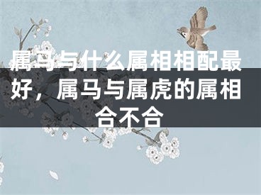 属马与什么属相相配最好，属马与属虎的属相合不合