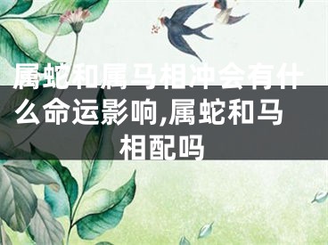 属蛇和属马相冲会有什么命运影响,属蛇和马相配吗