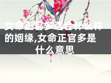 女命正官多适合什么样的姻缘,女命正官多是什么意思
