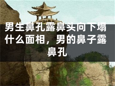 男生鼻孔露鼻头向下塌什么面相，男的鼻子露鼻孔