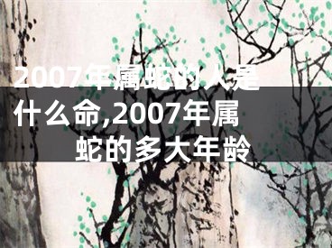 2007年属蛇的人是什么命,2007年属蛇的多大年龄