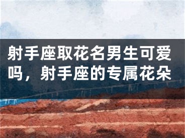 射手座取花名男生可爱吗，射手座的专属花朵