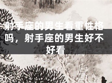 射手座的男生看重性格吗，射手座的男生好不好看