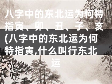 八字中的东北运为何特指寅、卯、丑、子、亥(八字中的东北运为何特指寅,什么叫行东北运