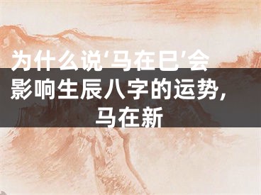 为什么说‘马在巳’会影响生辰八字的运势,马在新