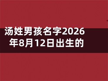 汤姓男孩名字2026年8月12日出生的