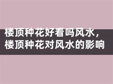 楼顶种花好看吗风水，楼顶种花对风水的影响