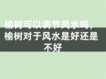 榆树可以调节风水吗，榆树对于风水是好还是不好