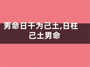 男命日干为己土,日柱己土男命