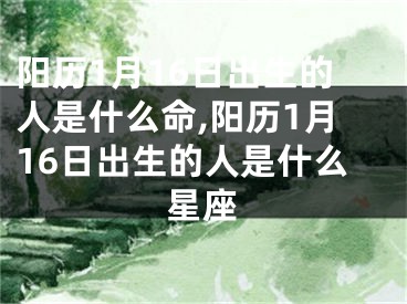 阳历1月16日出生的人是什么命,阳历1月16日出生的人是什么星座