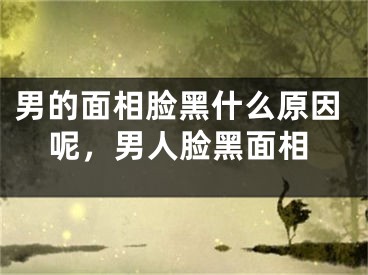 男的面相脸黑什么原因呢，男人脸黑面相