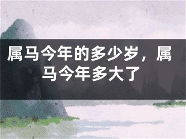 属马今年的多少岁，属马今年多大了