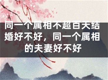 同一个属相不超百天结婚好不好，同一个属相的夫妻好不好