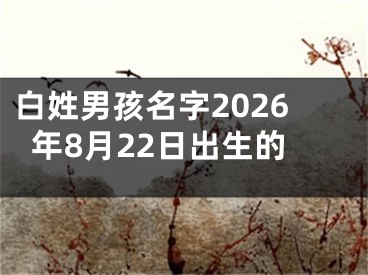 白姓男孩名字2026年8月22日出生的