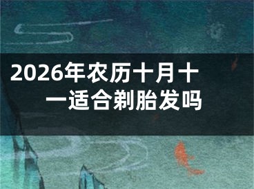 2026年农历十月十一适合剃胎发吗