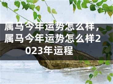 属马今年运势怎么样，属马今年运势怎么样2023年运程