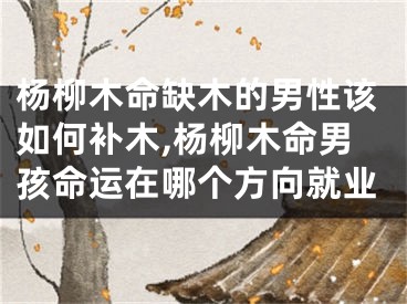 杨柳木命缺木的男性该如何补木,杨柳木命男孩命运在哪个方向就业