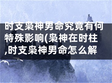 时支枭神男命究竟有何特殊影响(枭神在时柱,时支枭神男命怎么解