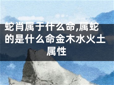 蛇肖属于什么命,属蛇的是什么命金木水火土属性