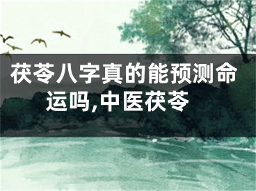 茯苓八字真的能预测命运吗,中医茯苓