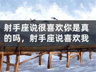 射手座说很喜欢你是真的吗，射手座说喜欢我