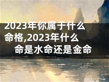 2023年你属于什么命格,2023年什么命是水命还是金命