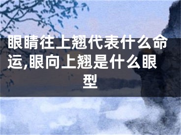 眼睛往上翘代表什么命运,眼向上翘是什么眼型
