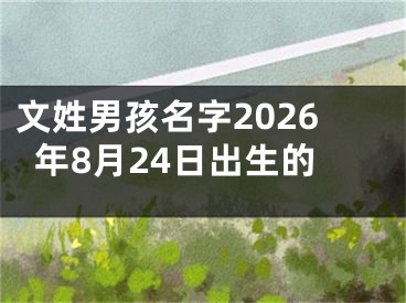文姓男孩名字2026年8月24日出生的