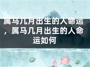 属马几月出生的人命运，属马几月出生的人命运如何