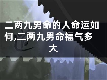 二两九男命的人命运如何,二两九男命福气多大
