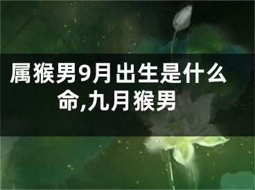 属猴男9月出生是什么命,九月猴男