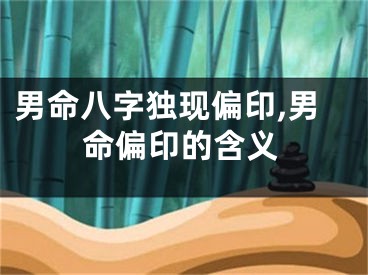 男命八字独现偏印,男命偏印的含义