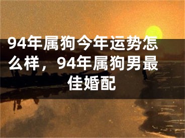 94年属狗今年运势怎么样，94年属狗男最佳婚配