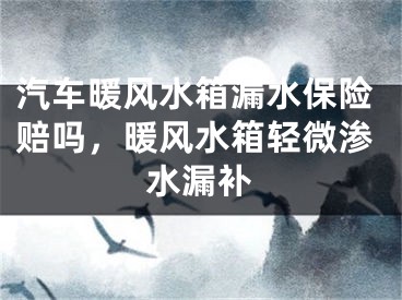 汽车暖风水箱漏水保险赔吗，暖风水箱轻微渗水漏补