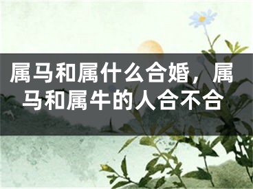 属马和属什么合婚,属马和属牛的人合不合