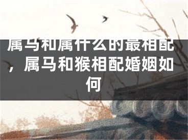 属马和属什么的最相配，属马和猴相配婚姻如何