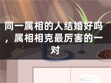 同一属相的人结婚好吗，属相相克最厉害的一对