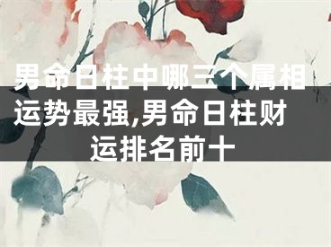 男命日柱中哪三个属相运势最强,男命日柱财运排名前十