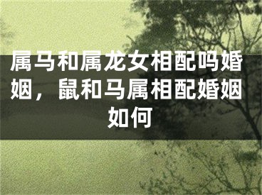 属马和属龙女相配吗婚姻，鼠和马属相配婚姻如何