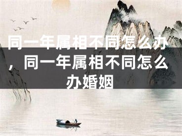 同一年属相不同怎么办，同一年属相不同怎么办婚姻