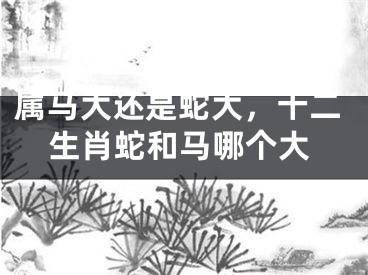 属马大还是蛇大，十二生肖蛇和马哪个大
